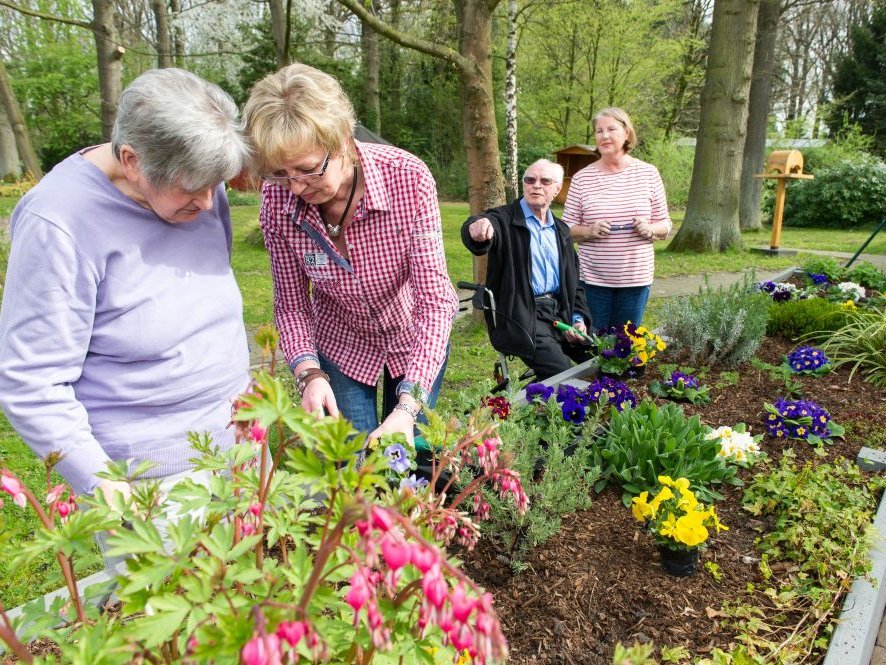 Mitarbeiter ghelfen Bewohnern beim Einpflanzen von Blumen in ein Hochbeet.