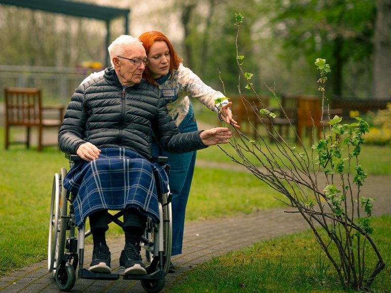 Ein älterer Mann im Rollstuhl wird von einer jungen Frau mit roten Haaren im Garten begleitet. Sie deutet auf eine junge Pflanze. Der Mann, der eine karierte Decke auf dem Schoß hat, betrachtet die Pflanze.